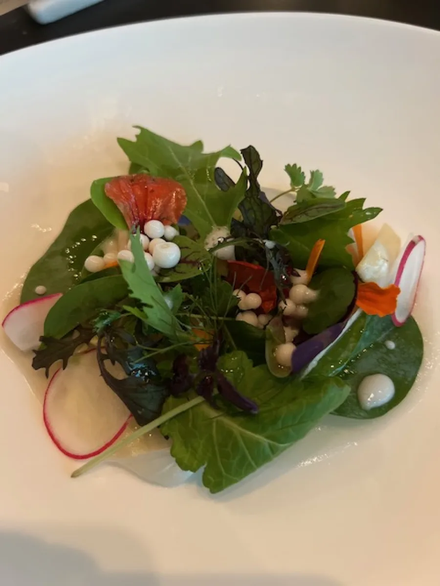 Frischer Salatgang mit Kräutern und Gemüse